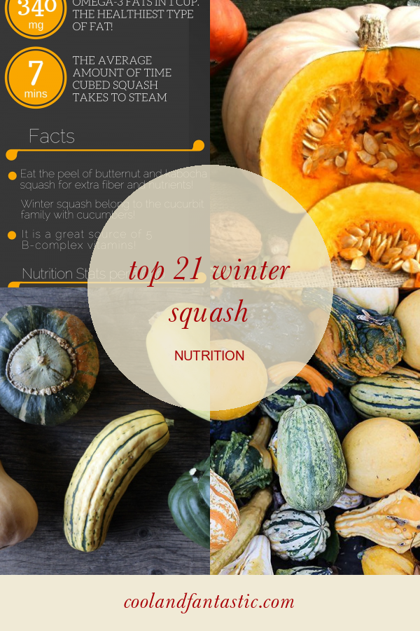 top-21-winter-squash-nutrition-home-family-style-and-art-ideas